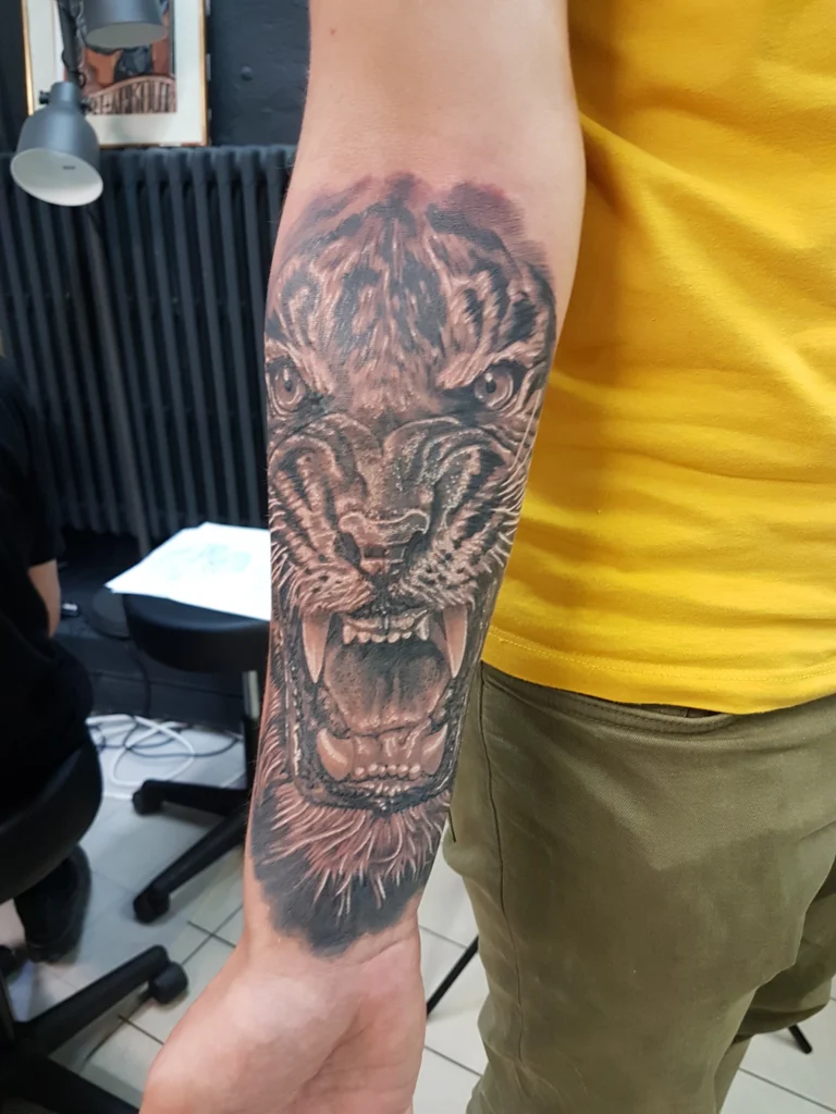 Cover-up tigre