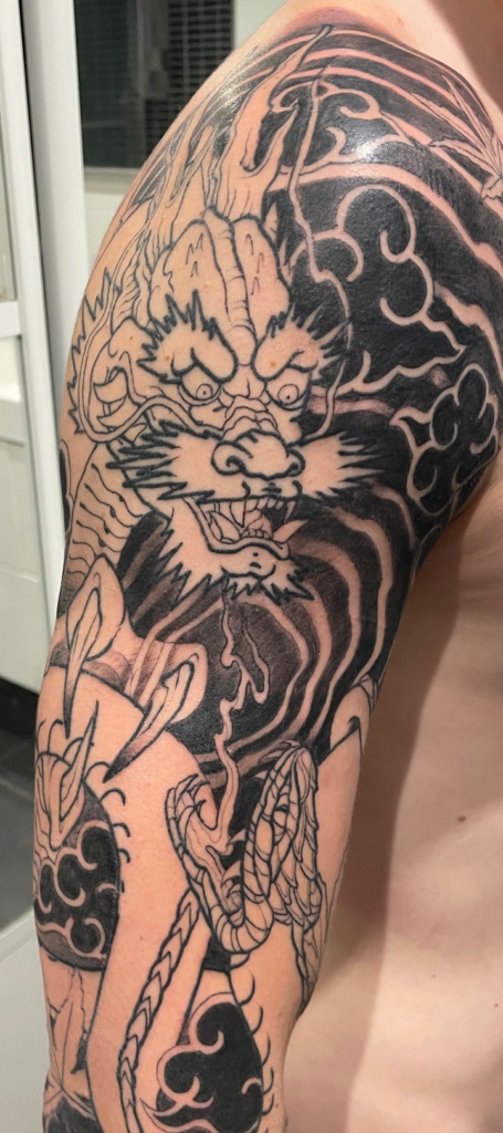 Ryu et serpent