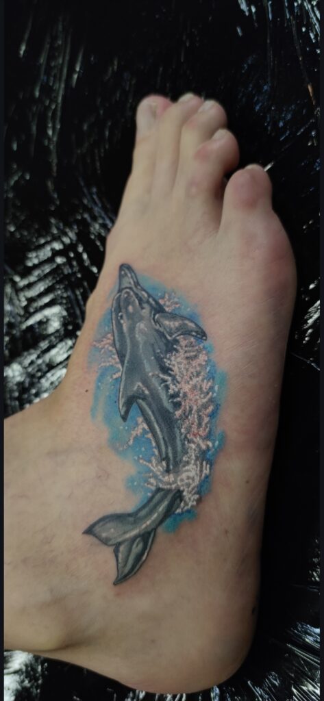 Dolphin  fix up