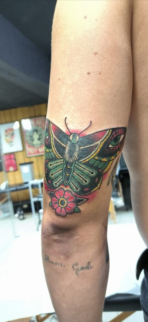 Cover with butterfly